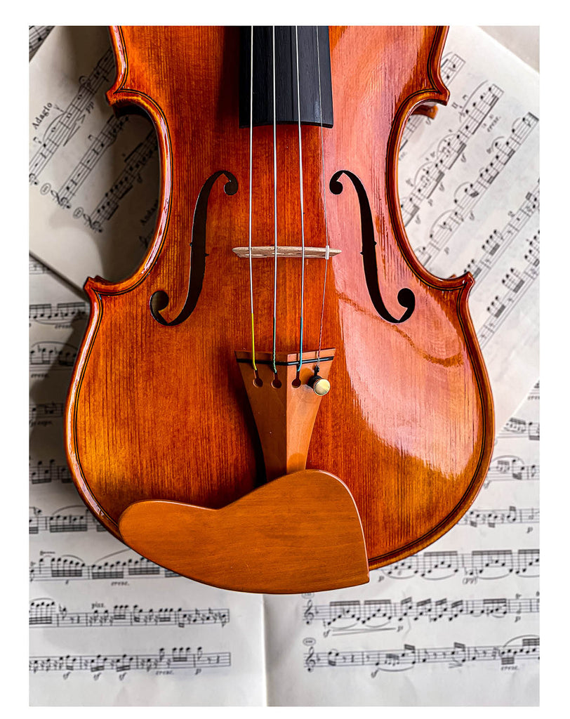 Berber Chinrest Violin 4/4 Boxwood, ZK-269B