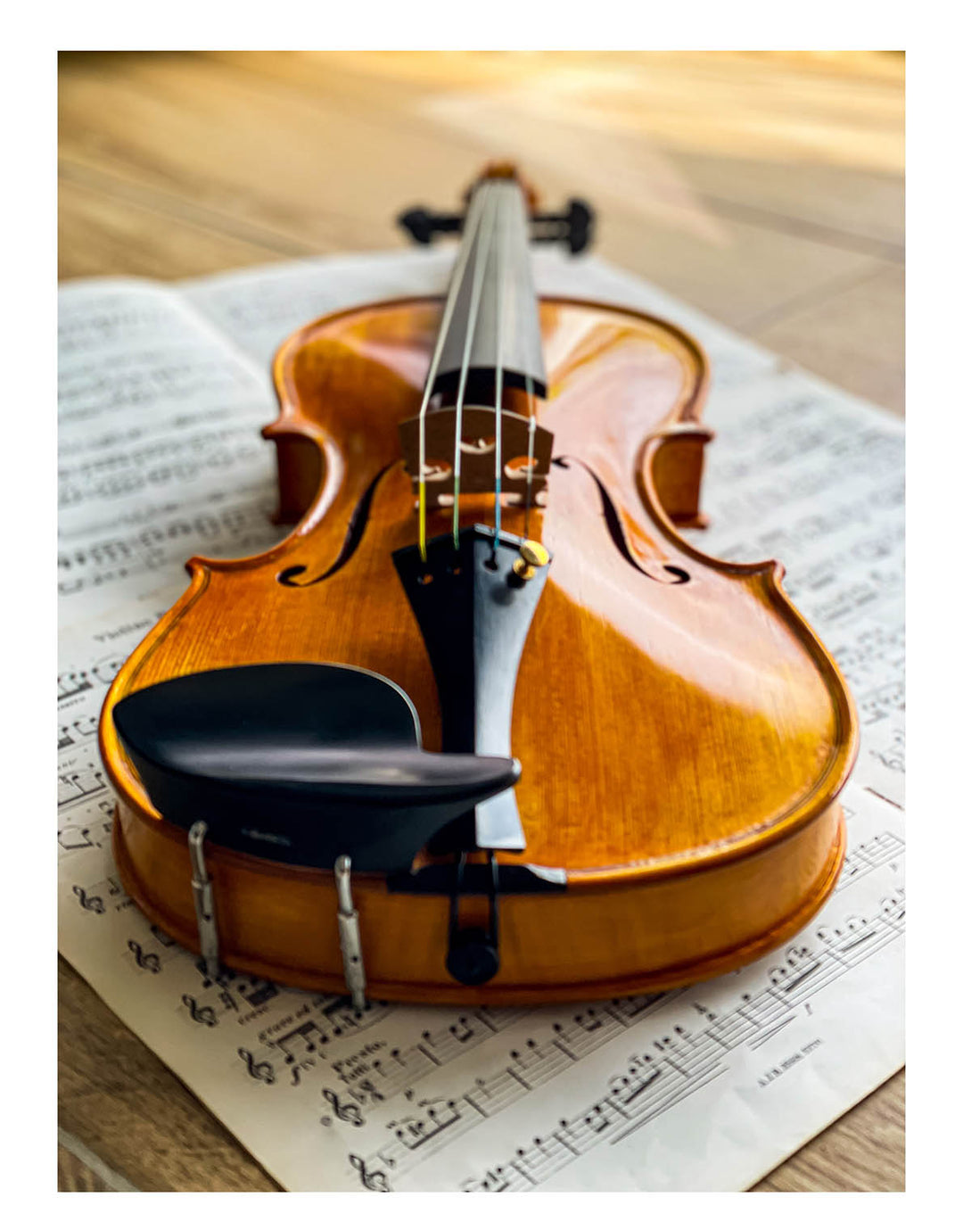 Hamburg Chinrest Violin 4/4 in Ebony, ZK-4253 – The Conrad Goetz Original  Brand Studio